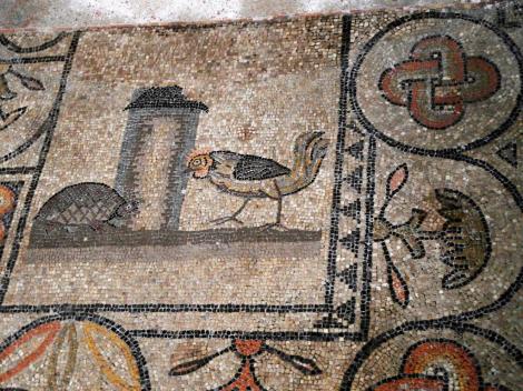 Aquileia: Dom - Fußbodenmosaik [Südhalle] (2017)