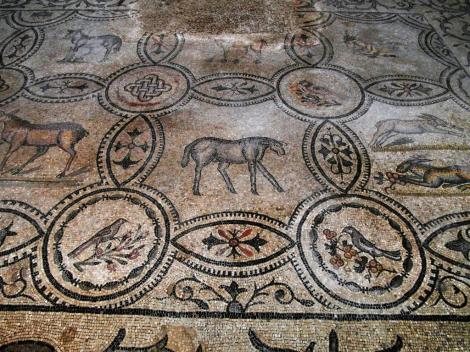 Aquileia: Dom - Fußbodenmosaik [Südhalle] (2017)