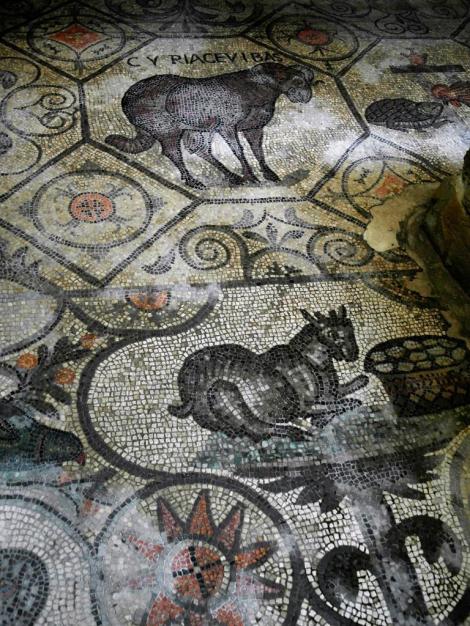 Aquileia: Dom - Fußbodenmosaik [Nordhalle] [Krypta der Ausgrabungen] (2017)