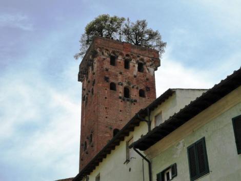 Torre Guinigi (2017)