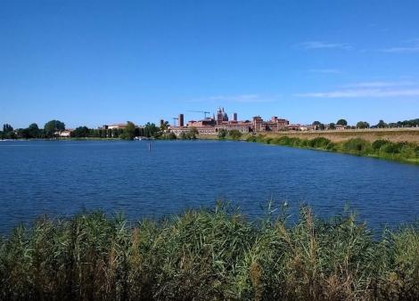 Blick zur Stadt (2017)