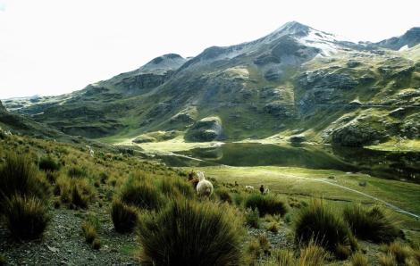 Anden zwischen La Paz und Paso La Cumbre (2005)