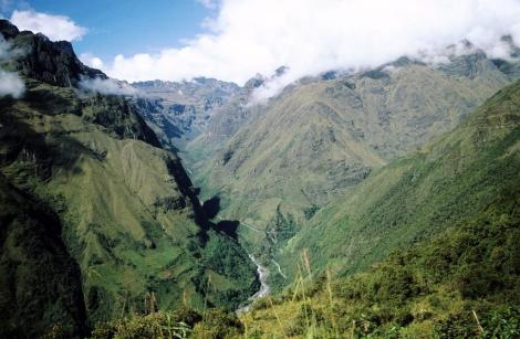 Yungas [Ostrand der Cordillera Real]: Anden zwischen dem Paso La Cumbre und Unduavi (2005)