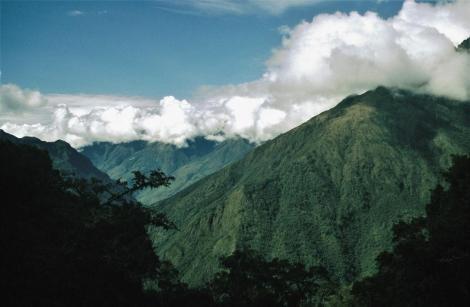 Yungas [Ostrand der Cordillera Real]: Anden zwischen dem Paso La Cumbre und Unduavi (2005)