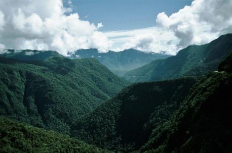 Yungas [Ostrand der Cordillera Real] bei Coroico (2005)