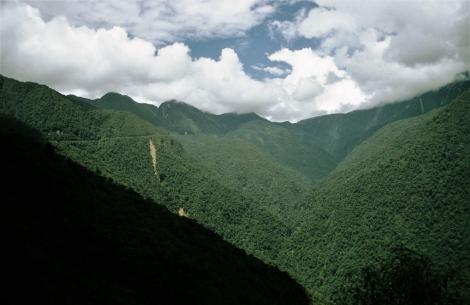 Yungas [Ostrand der Cordillera Real] bei Coroico (2005)