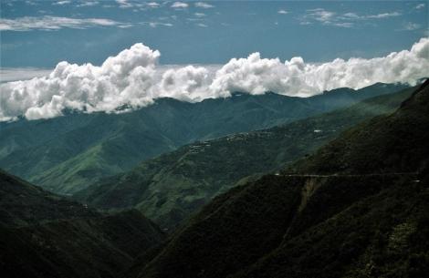 Yungas [Ostrand der Cordillera Real] bei Coroico (2005)