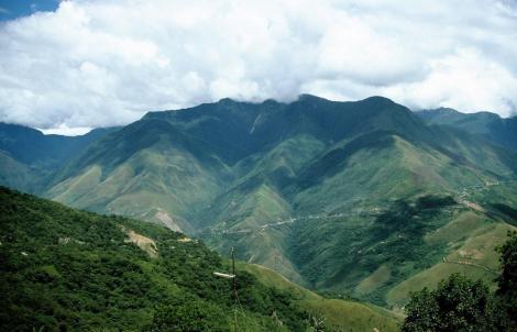 Yungas [Ostrand der Cordillera Real] bei Coroico (2005)