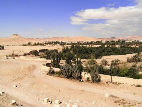 Blick vom Baal-Tempel auf die Oase (2008)