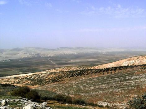 Tal des Flusses Orontes (2008)