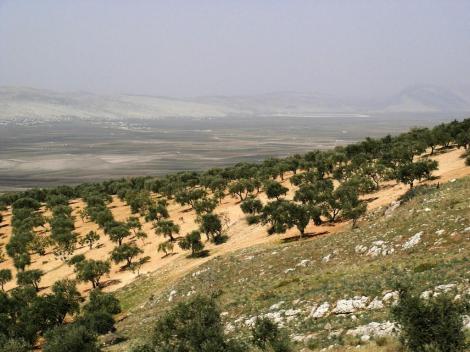 Blick ins Tal des Flusses Orontes (2008)