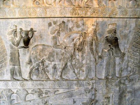 Persepolis: Apadana - Relief an der Osttreppe [Armenier] (2007)