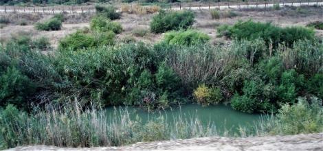 Jordan zwischen Gadara und Pella (2006)