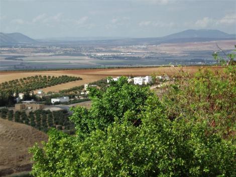 Pella: Blick in den Jordangraben (2006)