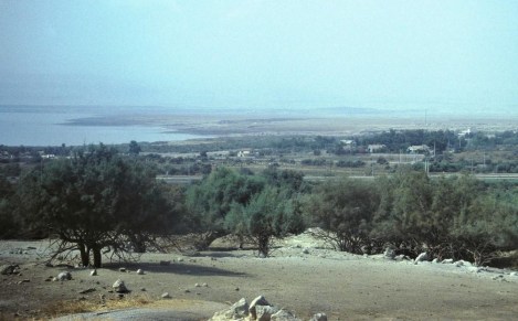 Totes Meer und Jordanmündung (2006)
