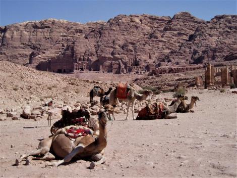 Petra: Blick von der Innenstadt zur Königswand (2006)