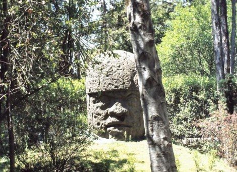 Mexiko-Stadt: Anthropologisches Museum - Olmekenkopf (1980)