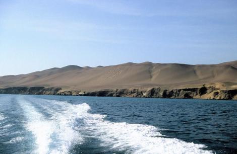 Halbinsel Paracas: Blick zu "El Candelabro" (2005)