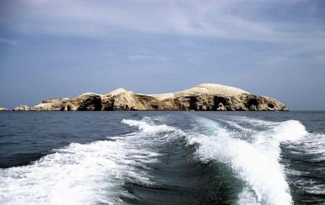 Ballestas-Inseln (2005)