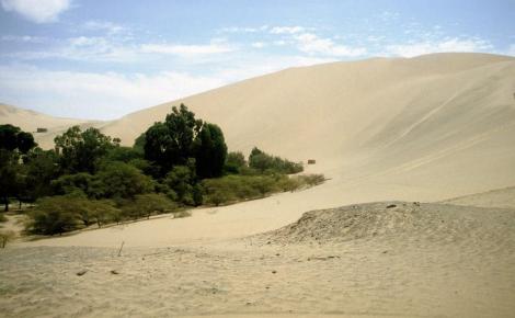 Huacachina: Düne (2005)