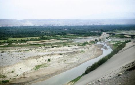 Flussoase südlich Nazca (2005)