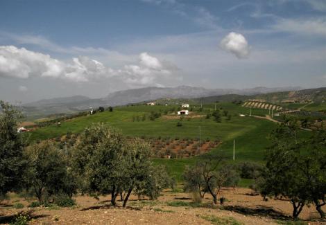 Blick zum El Torcal-Gebirge (2018)