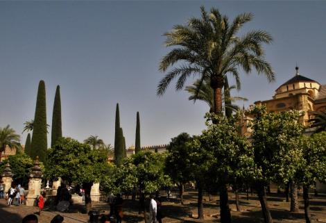 Mezquita: Orangenhof (2018)