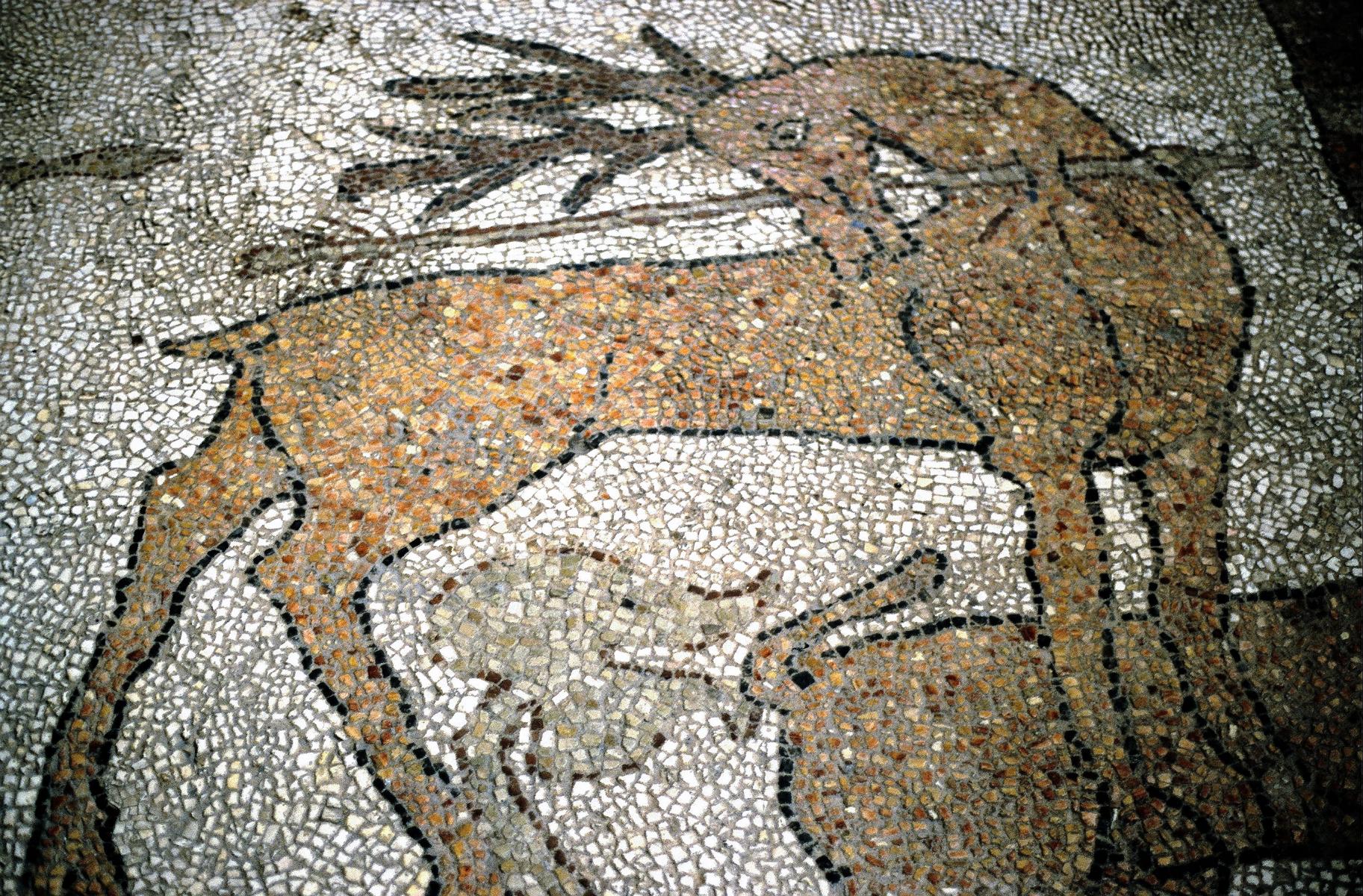 Apul264 Otranto Kathedrale (2001)