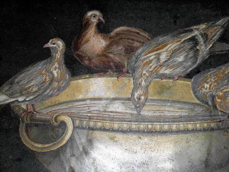 Kapitolinische Museen: Taubenmosaik (2013)