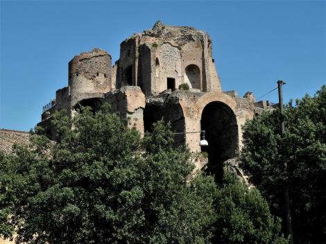 Palatin: Domus Severiana [Blick vom Circus Maximus] (2013)