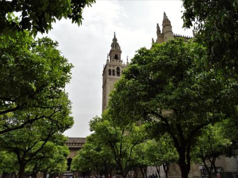 Kathedrale: Orangenhof (2018))