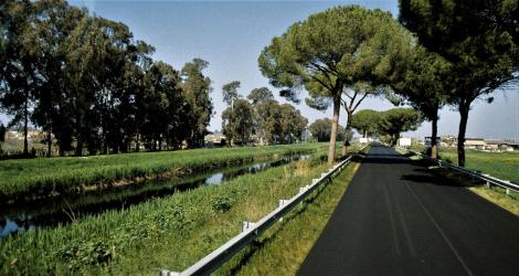 Pontinische Ebene (2002)