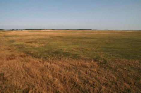 Puszta Hortobagy (2018)