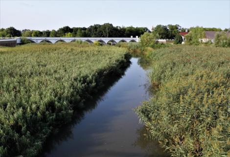 Puszta Hortobagy: Neun-Bogen-Brücke (2018)