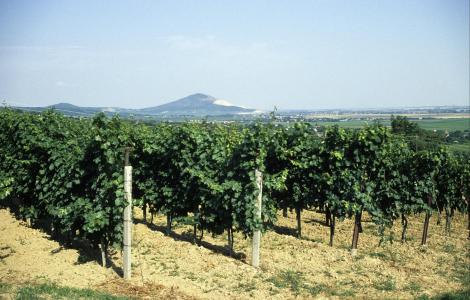 Siklos: Blick zum Berg Harsany (2004)