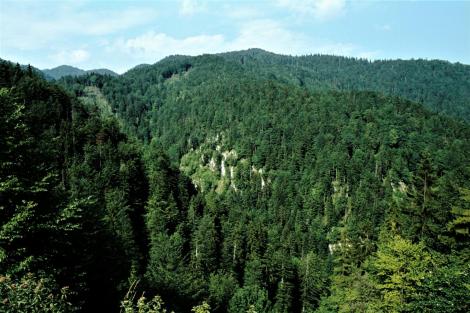 Große Fatra bei Harmanec (1980)
