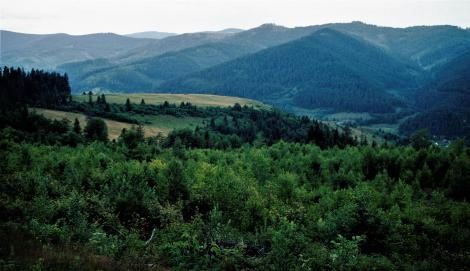 Landschaft bei Schmöllnitz [slowak. Smolník] (2004)