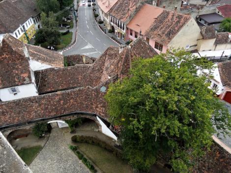 Heltau (rum. Cisnădie): Kirchenburg - Blick vom Kirchturm auf den Bering (2018)