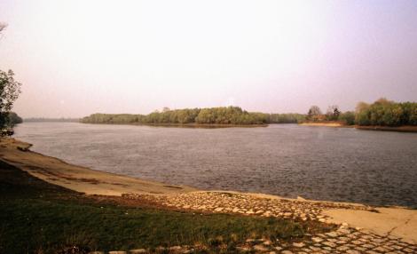 Mündung der Bega [rechts] in die Theiß [von links] bei Titel (1990)