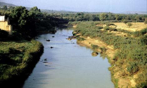Fluss Medjerda (1998)