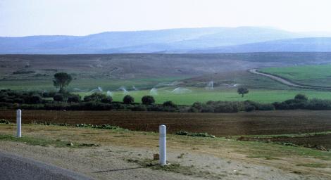 Bewässerung bei Dougga (1998)