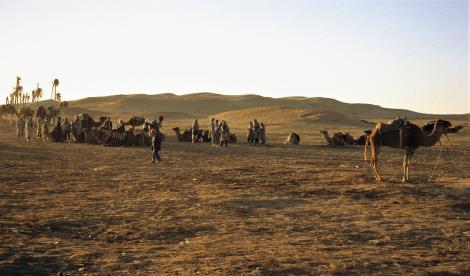 Douz - am Rande der Sahara (1998)