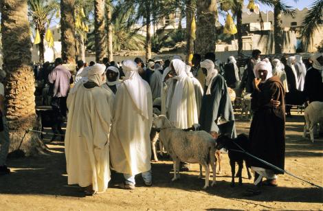 Douz: Kamelmarkt (1998)