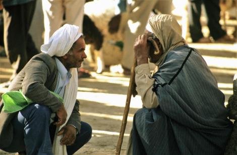 Douz: Kamelmarkt (1998)