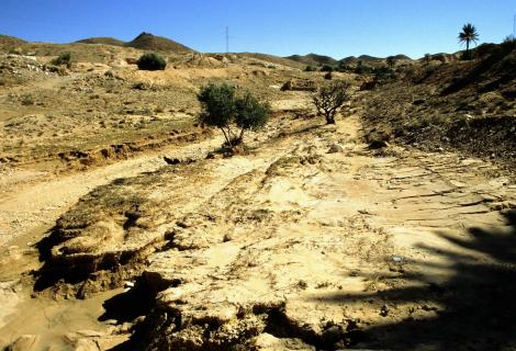 Landschaft bei Matmata (1998)