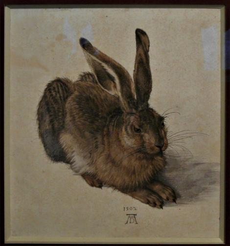Wien: Albertina - "Feldhase" von Dürer (2019)