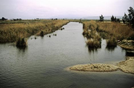 Fluss Mäander bei Milet (1997)