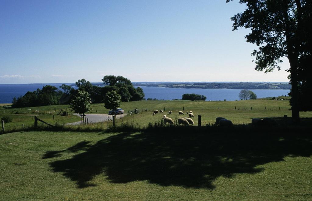 Düppel [dän. Dybbøl] (2001)