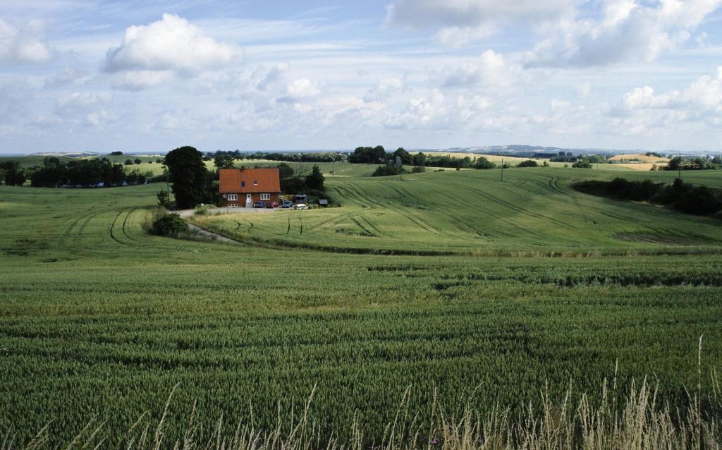 Landschaft bei Snertinge (2001)