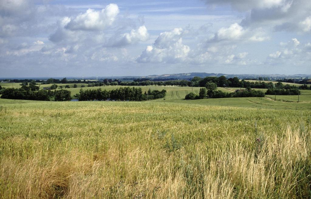 Landschaft bei Snertinge (2001)